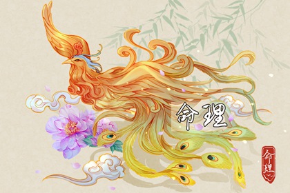 老黄历皇历 周易择吉老黄历 老黄历万年历大全